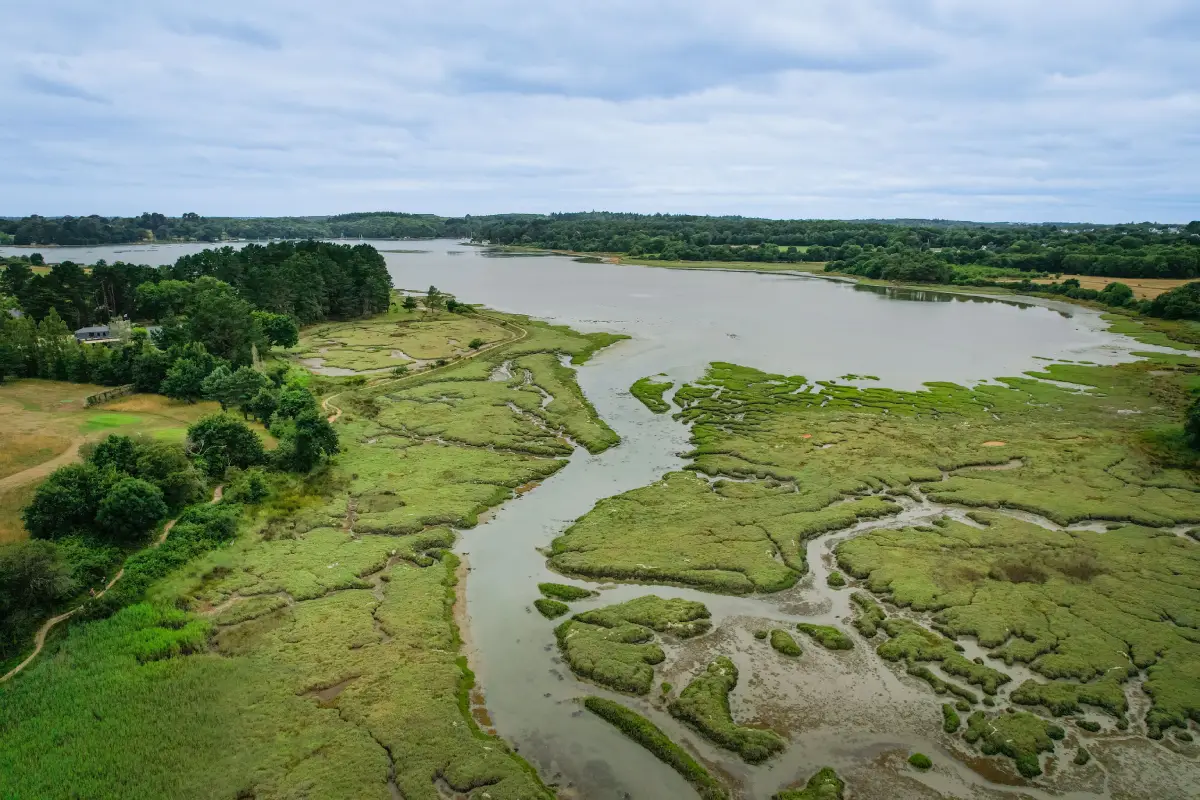 Vue drone sur les marais et vasières du Golfe du Morbihan à marée basse, près de la Maison OBONO