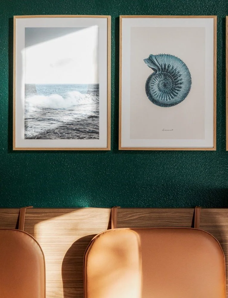 Décoration murale d'une chambre de la Maison OBONO : deux tableaux encadrés représentant la mer et une ammonite, mur vert sapin et banquette en cuir caramel