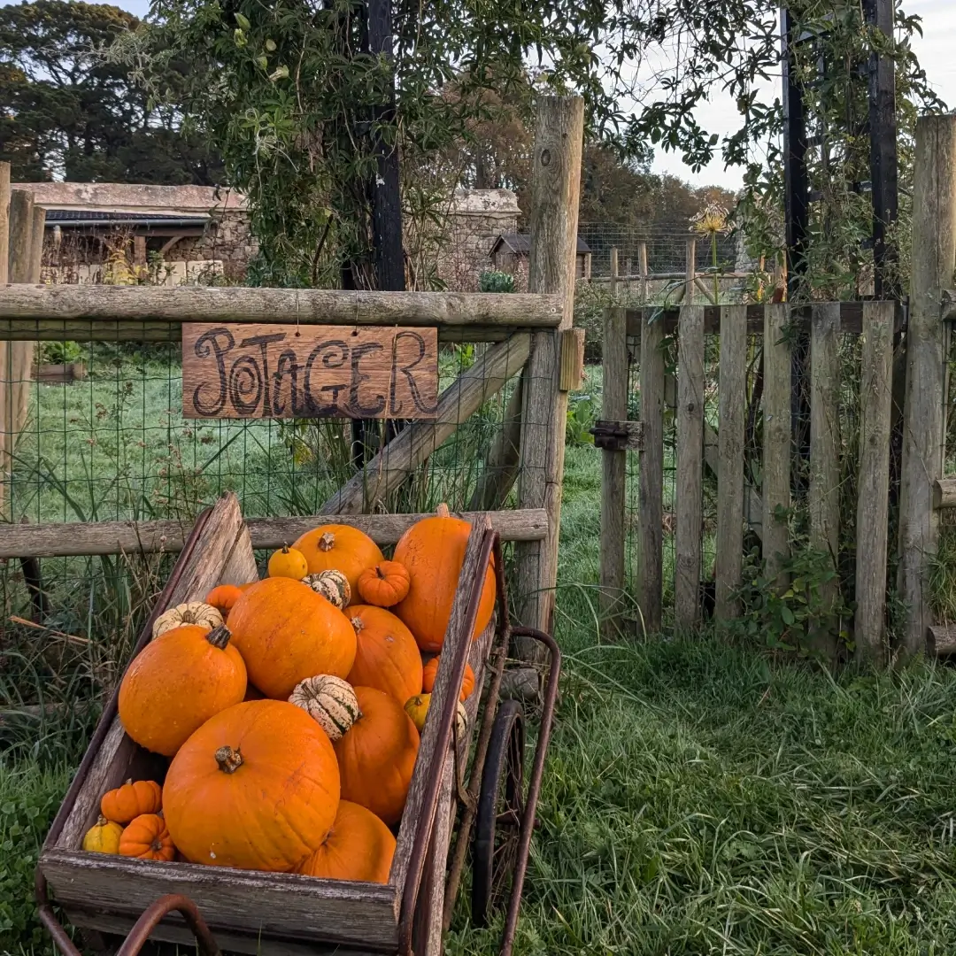 Ambiance Halloween à La Maison OBONO – citrouilles du potager et dîner mystère au Bono